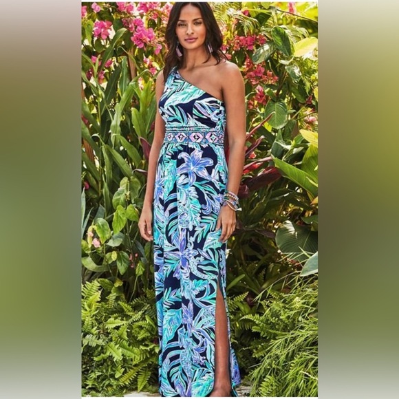 Lilly Pulitzer Dresses & Skirts - Lilly Pulitzer Malia Maxi Dress in High Tide Navy Ready Set Gecko Engineered M